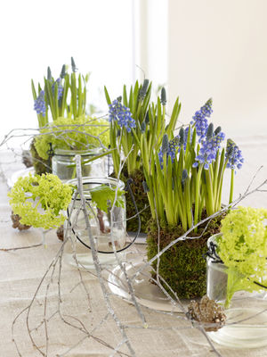 InterFlora,08-014614[1]